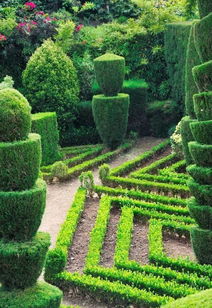 園林綠化施工的五項關鍵注意事項